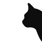 brave cat digital agency web design company