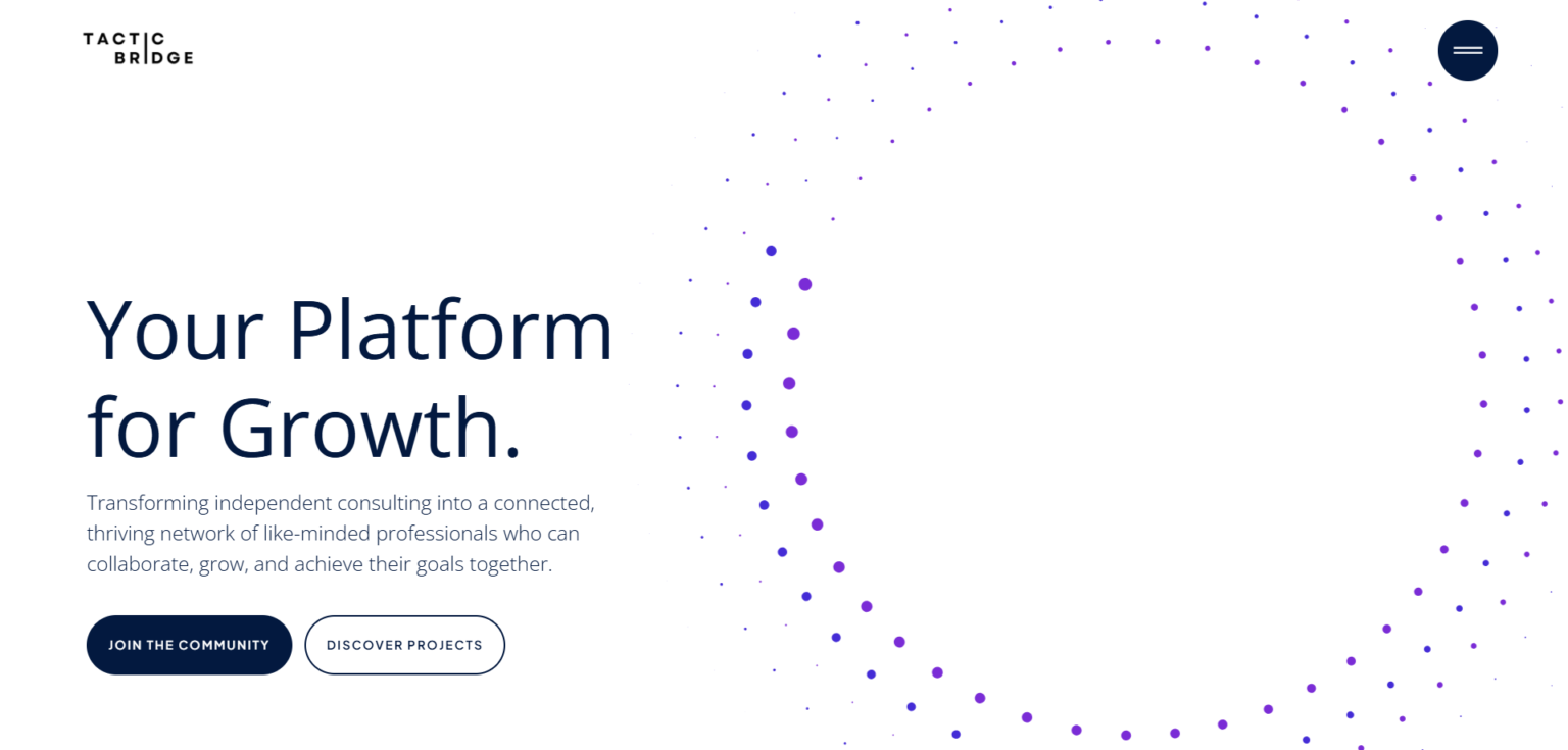 Web Design Portfolio tactic bridge