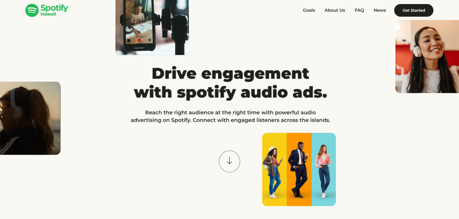 wordpress development agency work