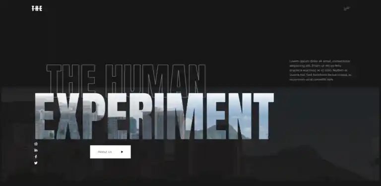Brave Cat Digital — modern website